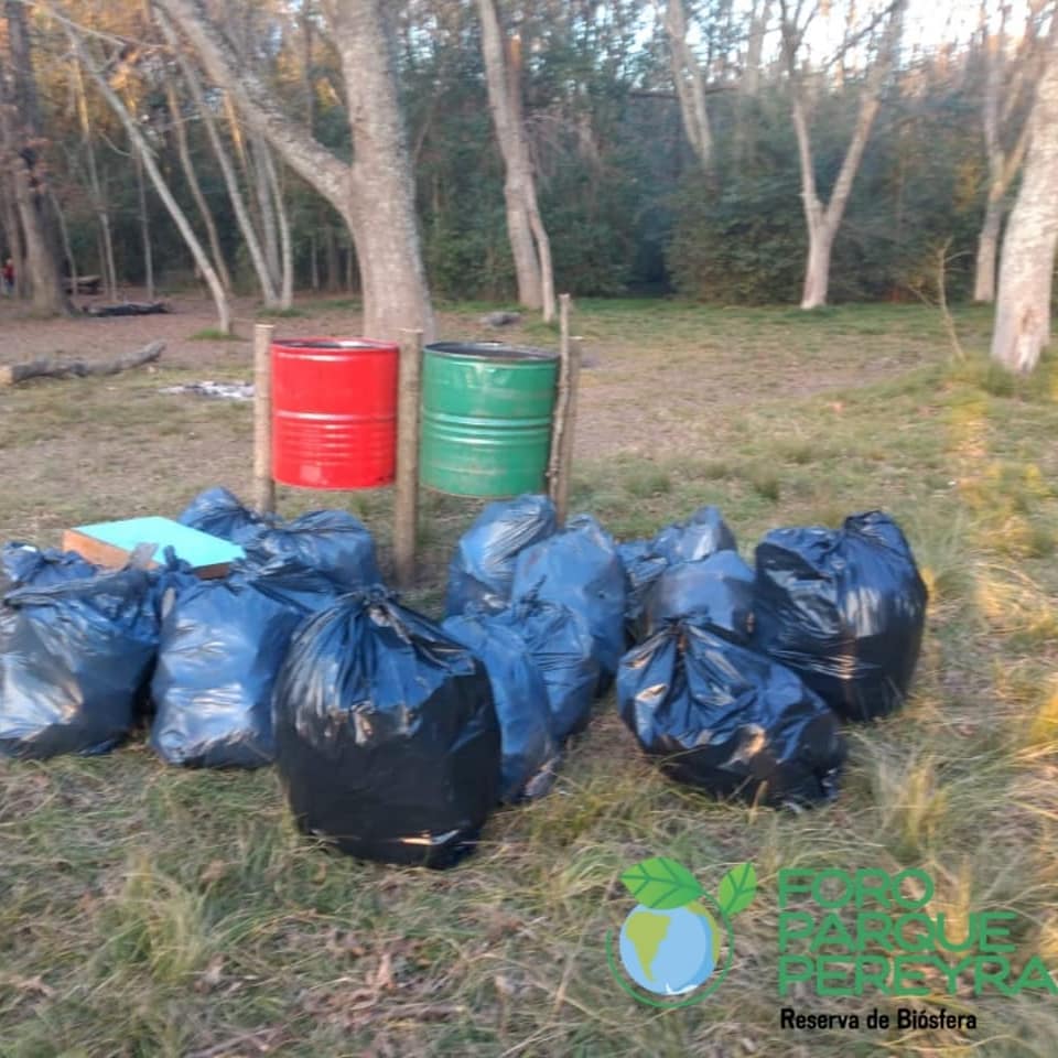 ForoParque's tweet image. ♻️Hoy realizamos una jornada de limpieza en una parte del Parque Pereyra🌎

👉Ayúdanos a cuidarlo y a concientizar, es nuestra responsabilidad protegerlo.🤝