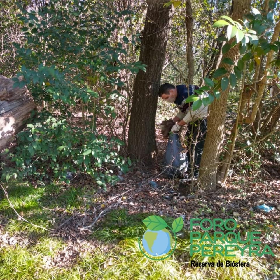 ForoParque's tweet image. ♻️Hoy realizamos una jornada de limpieza en una parte del Parque Pereyra🌎

👉Ayúdanos a cuidarlo y a concientizar, es nuestra responsabilidad protegerlo.🤝