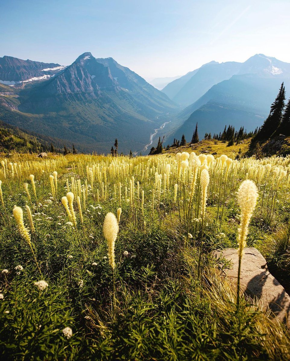 Adventure Spots ☼ tweet media