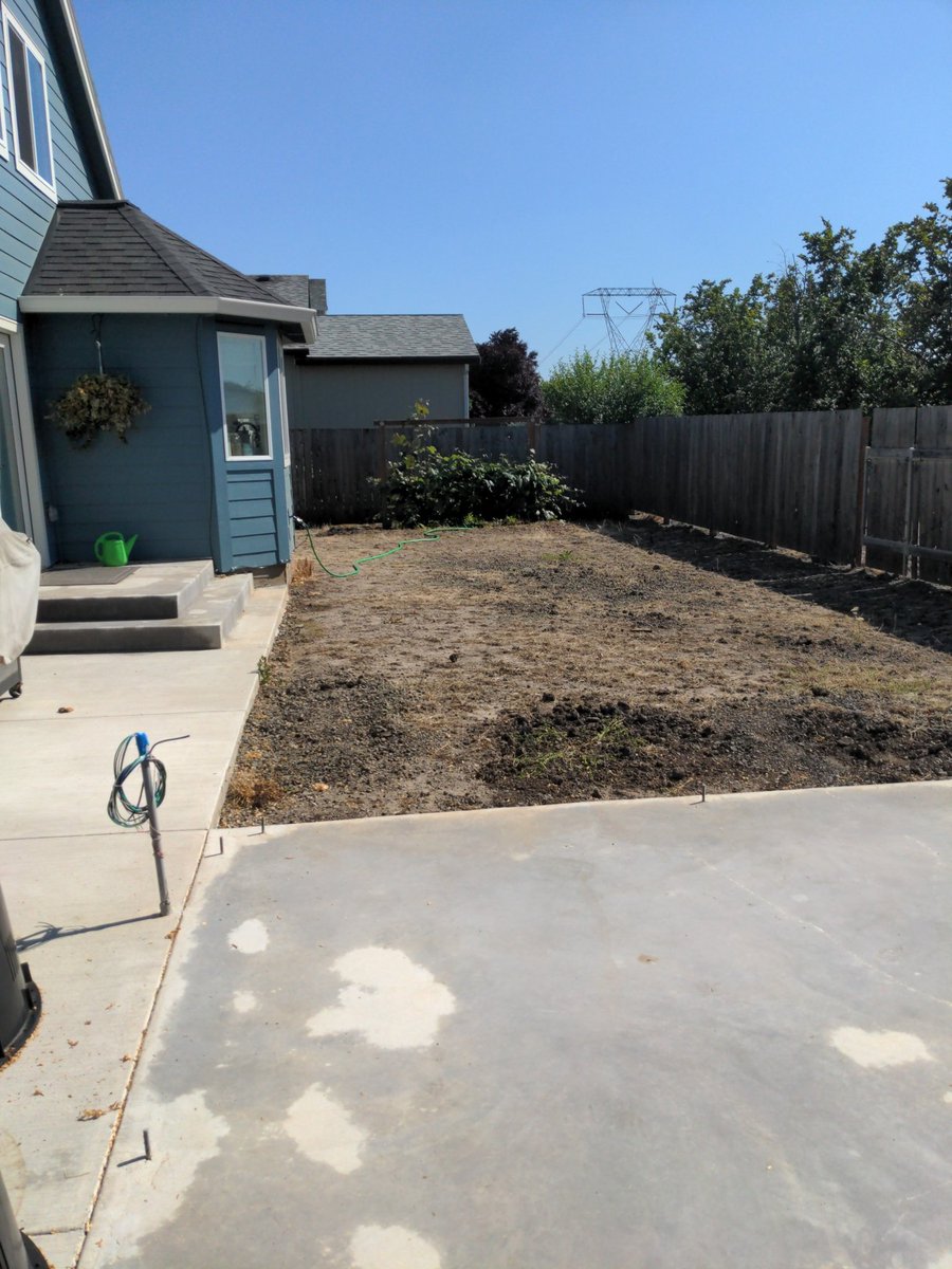 hoppermom's tweet photo. A new back yard would sure make a difference! #BushsBeautifulSummerContest @BushsBeans https://t.co/CKaj1PCXhj