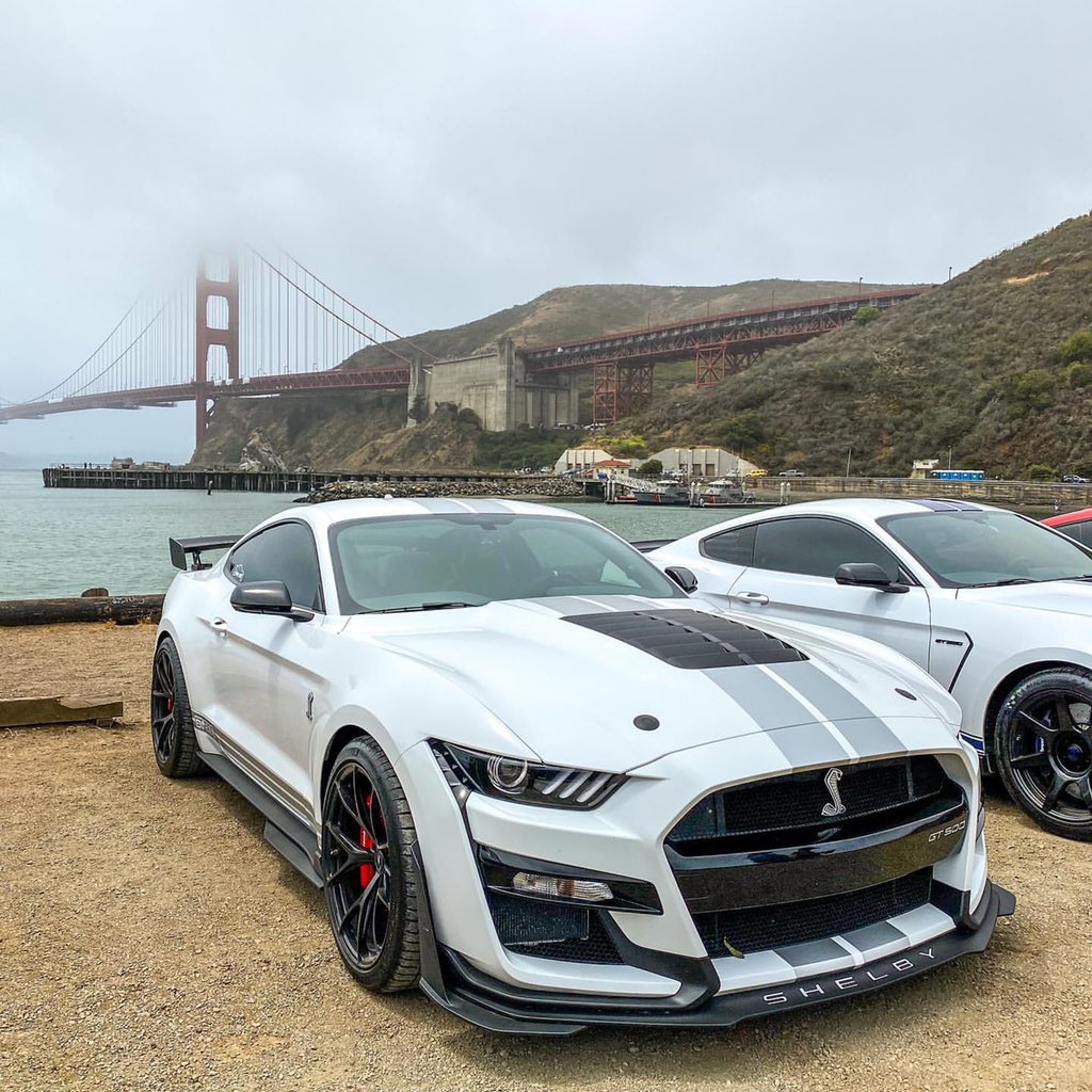 carpxrnpicx's tweet image. Shelby GT500