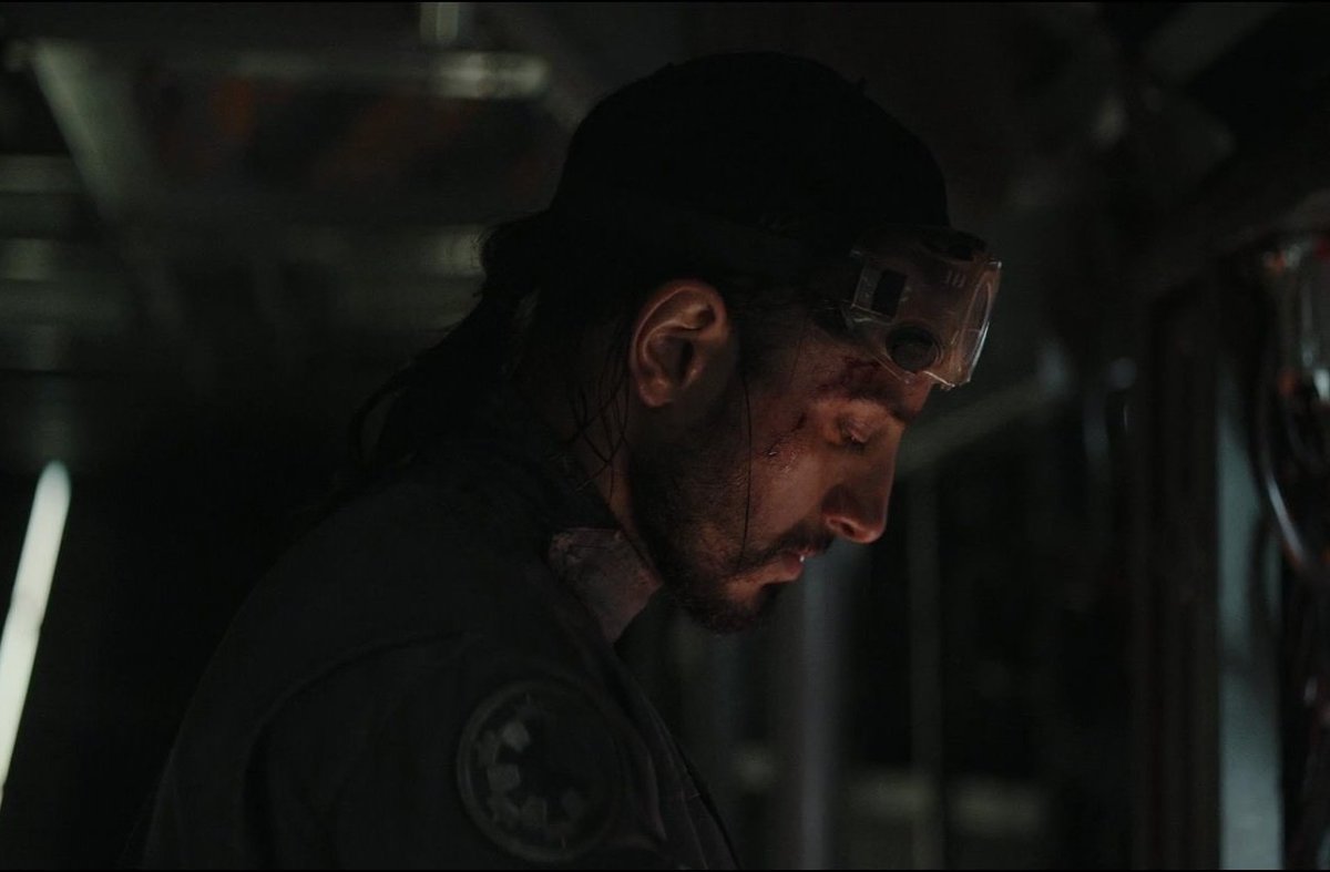 bestrogueone's tweet photo. bodhi rook https://t.co/E9aOT1c3X0