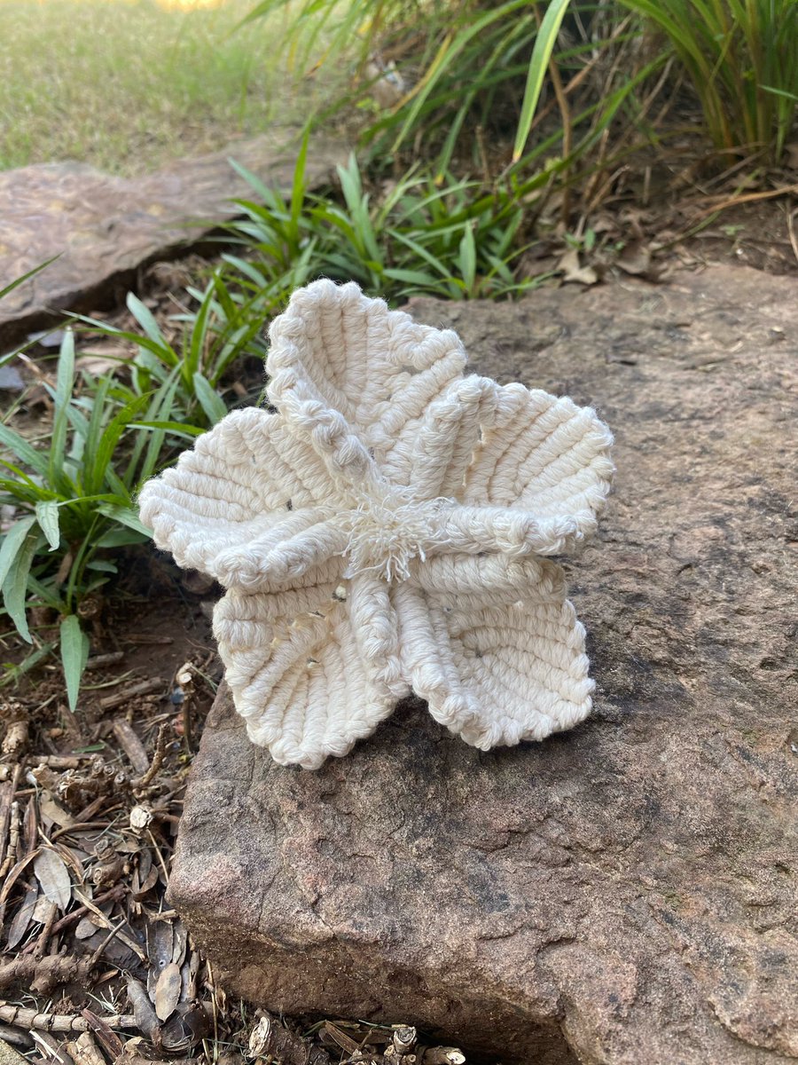 manukacreations's tweet image. ꕥ practicing f l o w e r s ꕥ