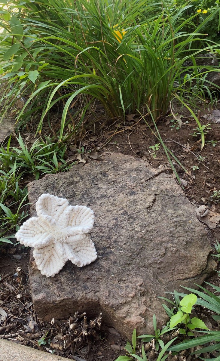 manukacreations's tweet image. ꕥ practicing f l o w e r s ꕥ