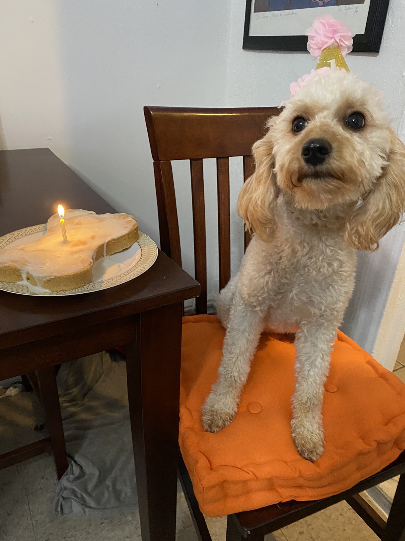 Wish Margot Robbie a happy birthday  