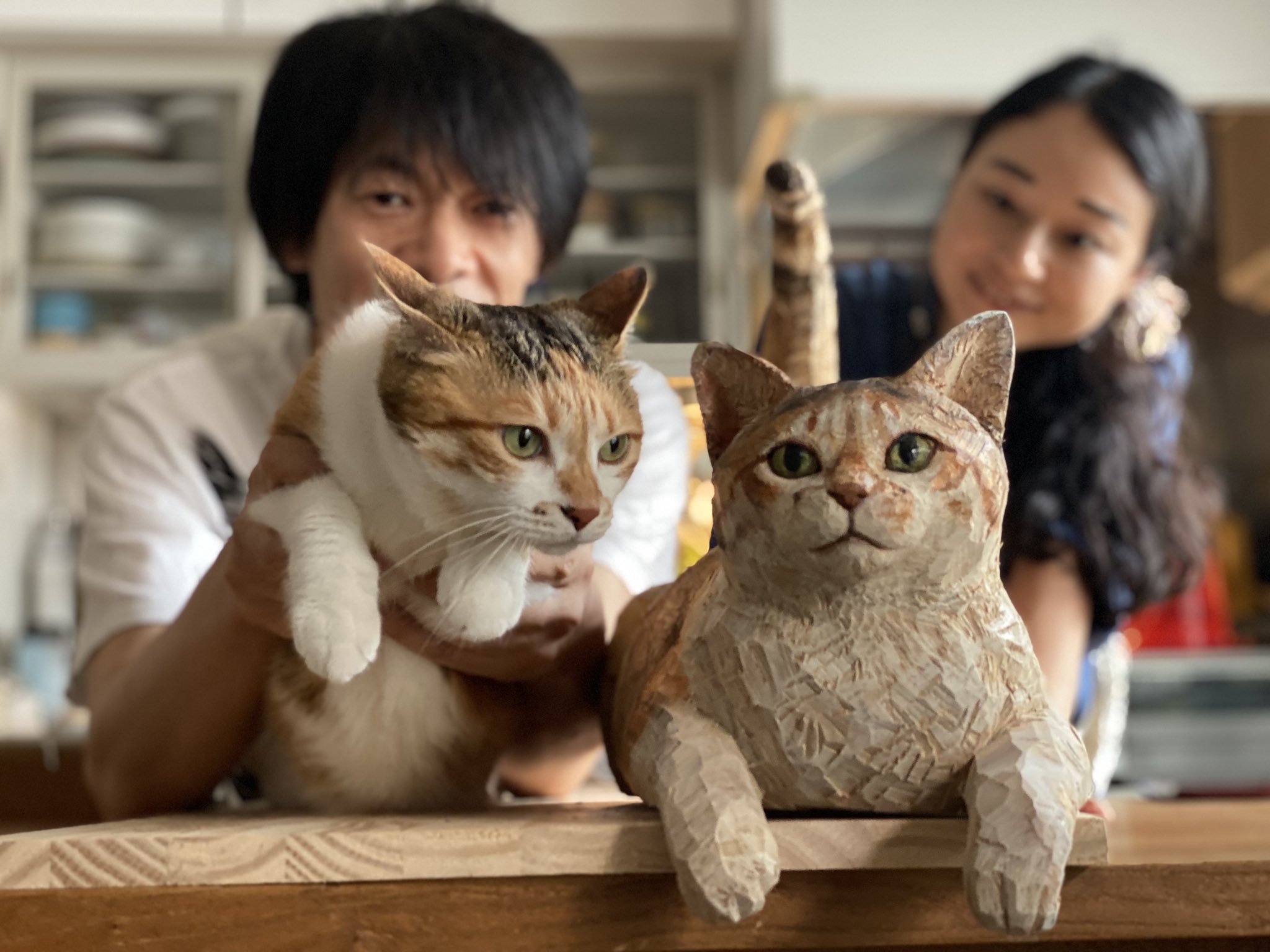 【中古】 山猫山だより/少年画報社/ひのもとはじめ 妖怪犯科帳～嫁は猫又～ 1 (チャンピオンREDコミックス) | 朱ひ