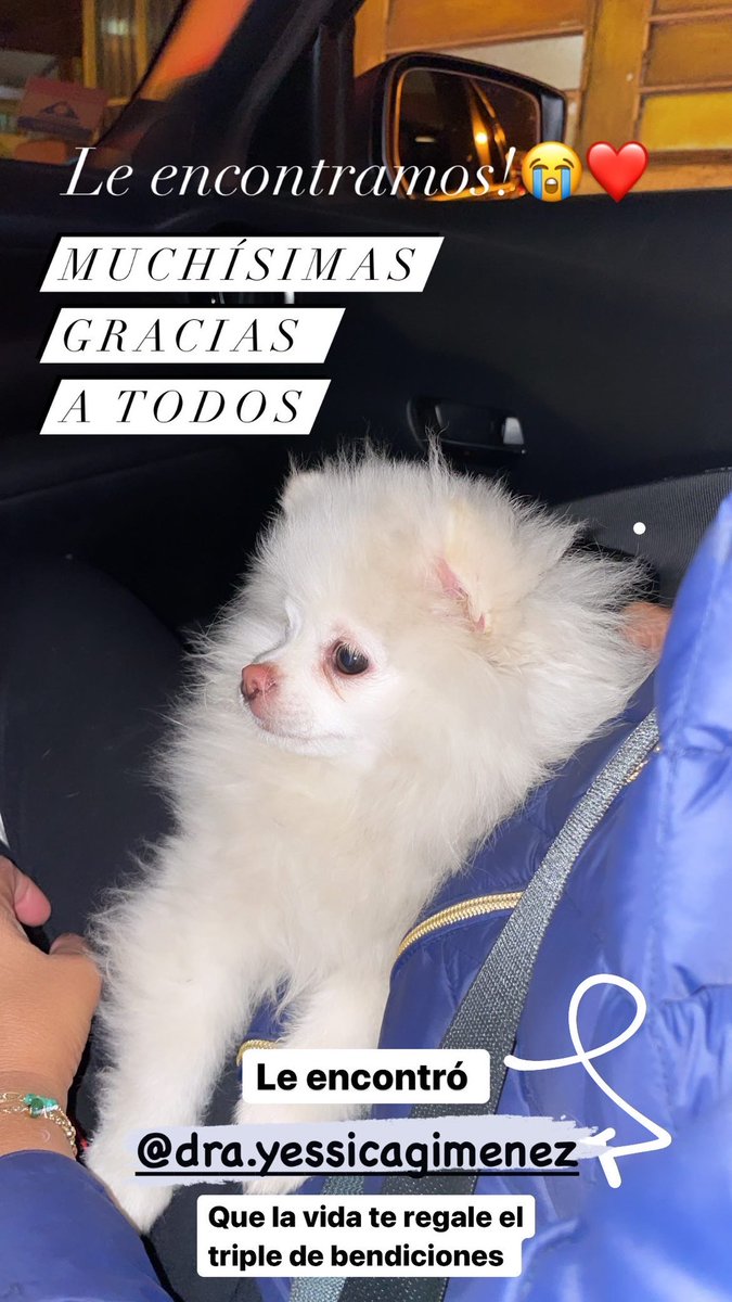 AraRios100's tweet photo. @kinkinoceda @bcardozo92 @Ayudandopeludos Eternamente agradecida!!! Ya esta de vuelta en casa ❤️❤️❤️ https://t.co/9UYsO7QyQF