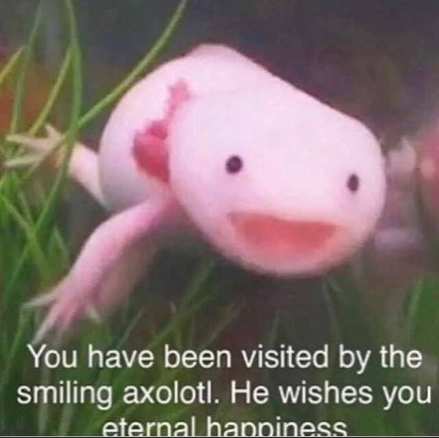 WholesomeMeme's tweet photo. https://t.co/qa8RNdOZob