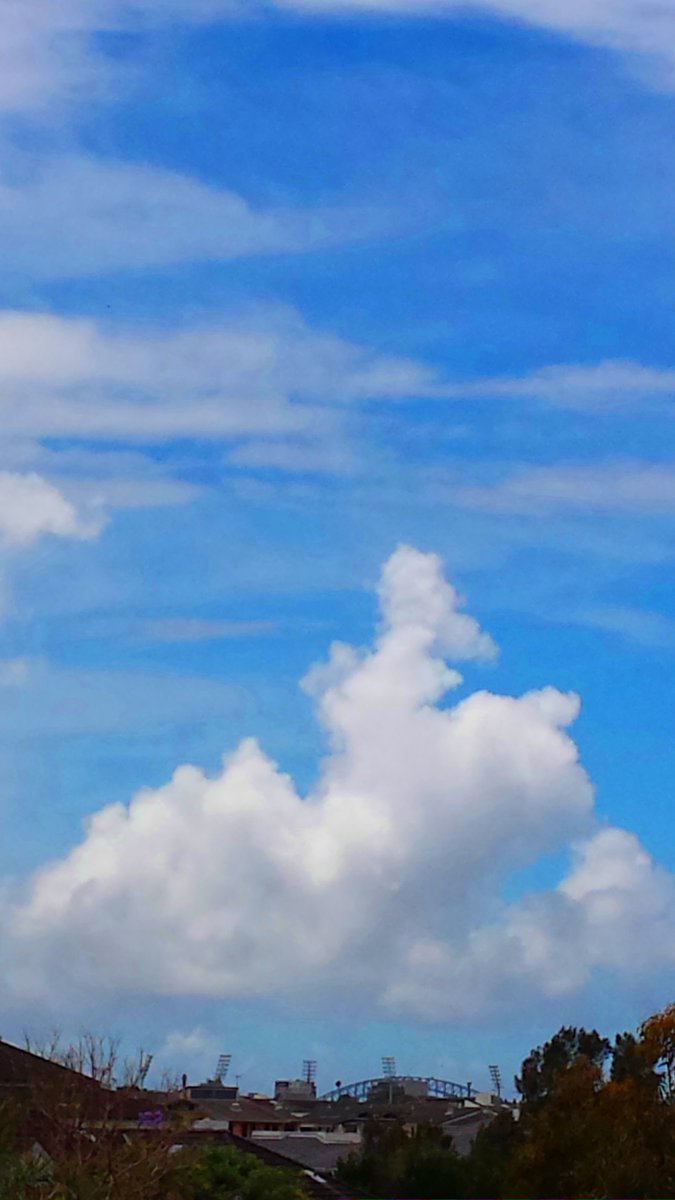 CherScheff's tweet photo. Clouds
#Windowviews #Colorofclouds
#Sydneyskies https://t.co/IbVoYKKRfR