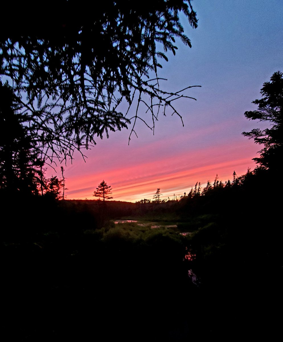 RayJCtweets's tweet photo. Sunset over pond on Western Island Pond Brook Trail @torbaynl #BeautifulTorbay https://t.co/ZETNf3u1Kj