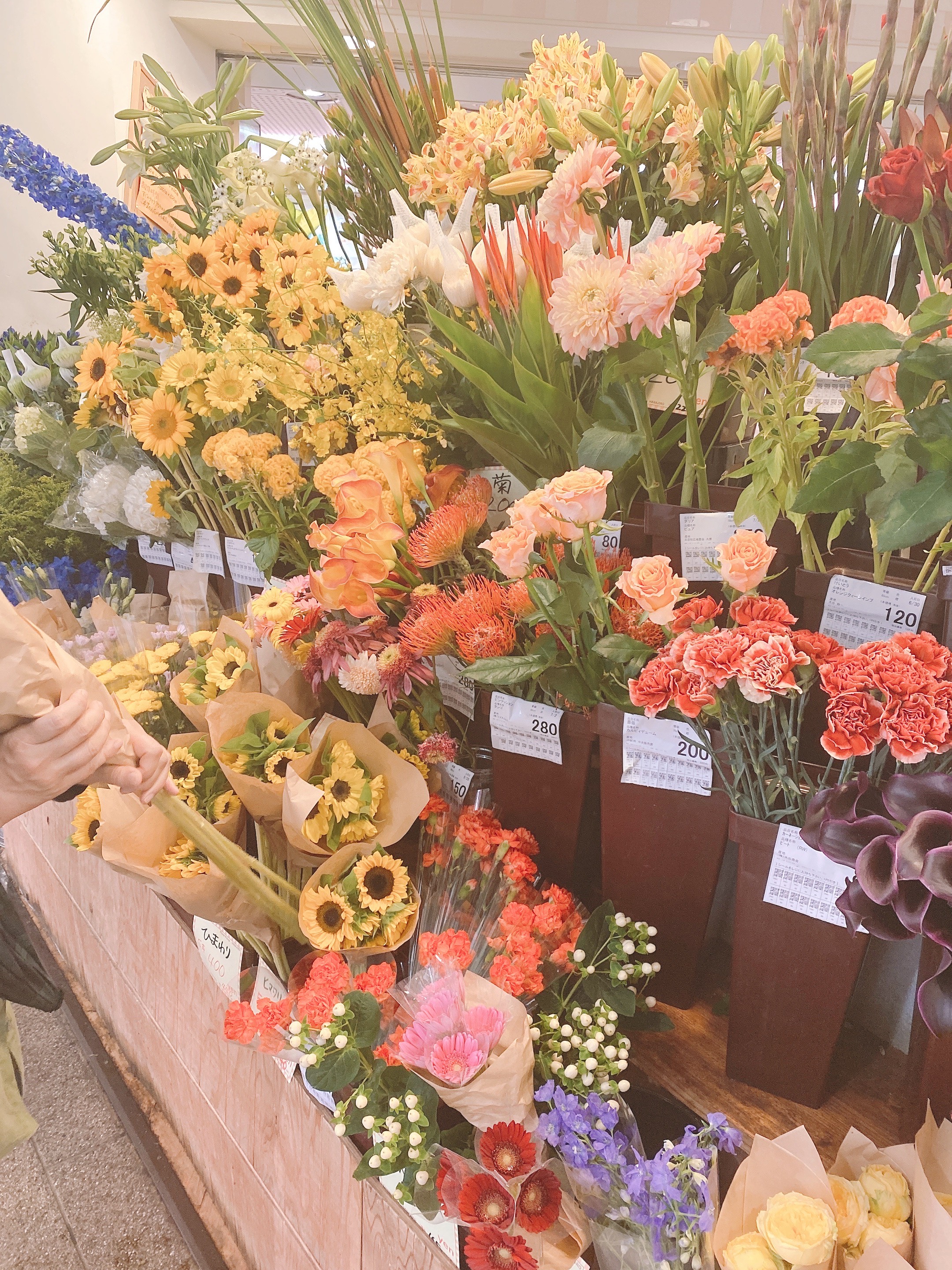 花次郎 Twitter Search Twitter
