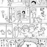 人間大好きな犬と猫を飼っていると、毎日が愉快で楽しい!