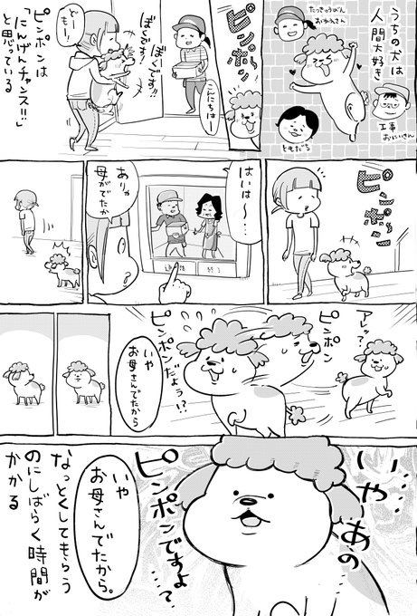 漫画 人が大好きな犬は ピンポン鳴ったら 僕も玄関に とジタバタ 猫は 違いすぎて 可笑し可愛い まいどなニュース