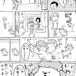 人間大好きな犬と猫を飼っていると、毎日が愉快で楽しい!