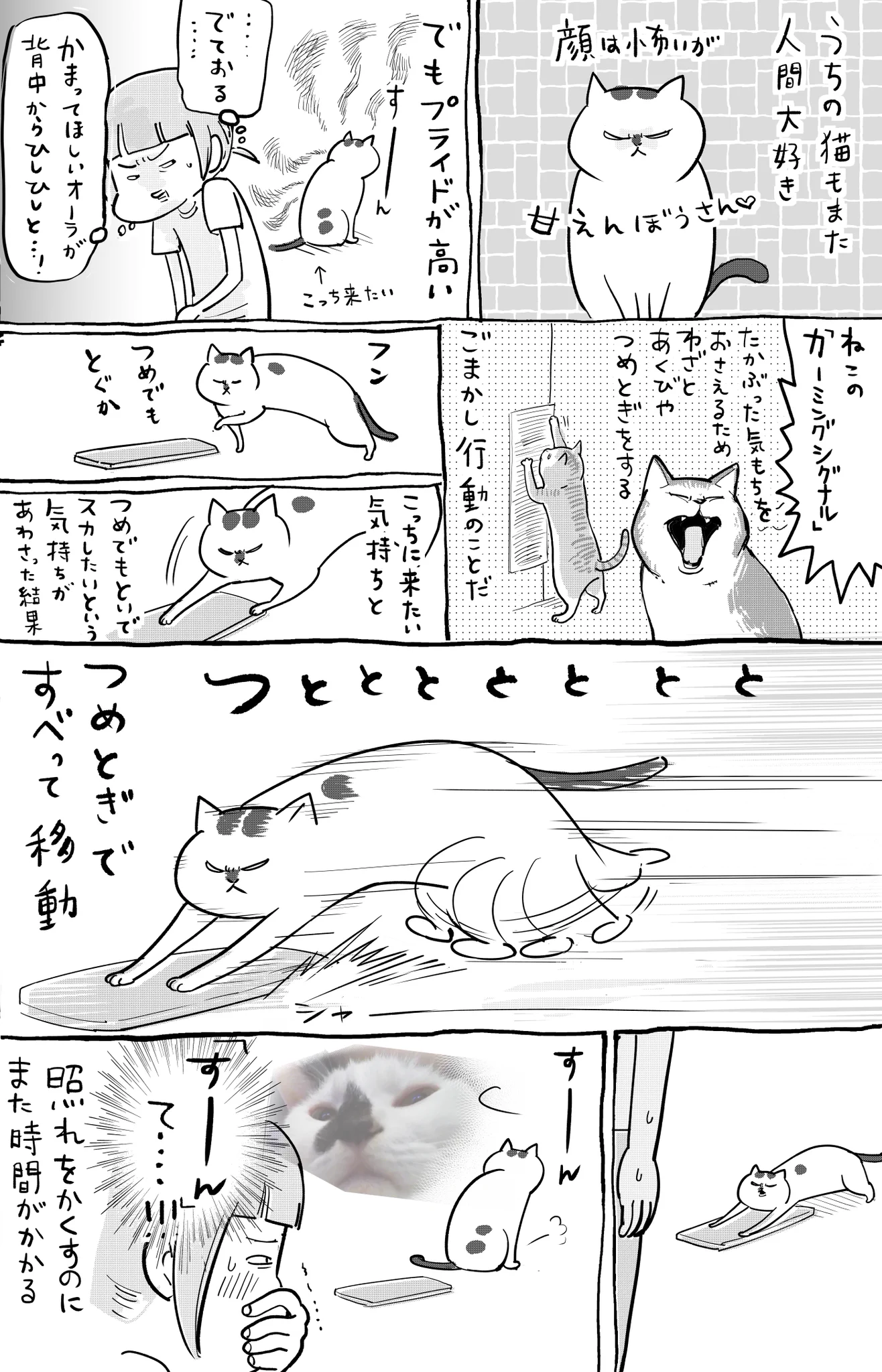 人間大好きな犬と猫を飼っていると、毎日が愉快で楽しい！