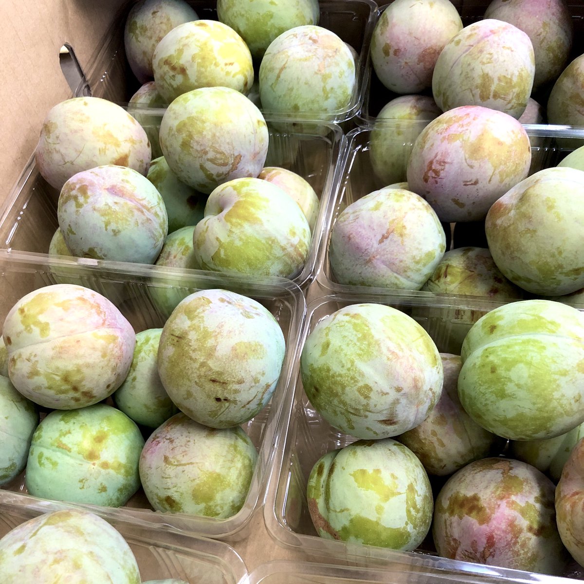 ট ইট র Flexieのジャム 完熟すもものジャム 完熟あんずのジャム 甲州からすもものソルダム 信州から杏が届いています ソルダムは完熟まで少し置いておきますが 杏はすぐに加工します この時期多くの果物の収穫期が重なるので ジャム屋は