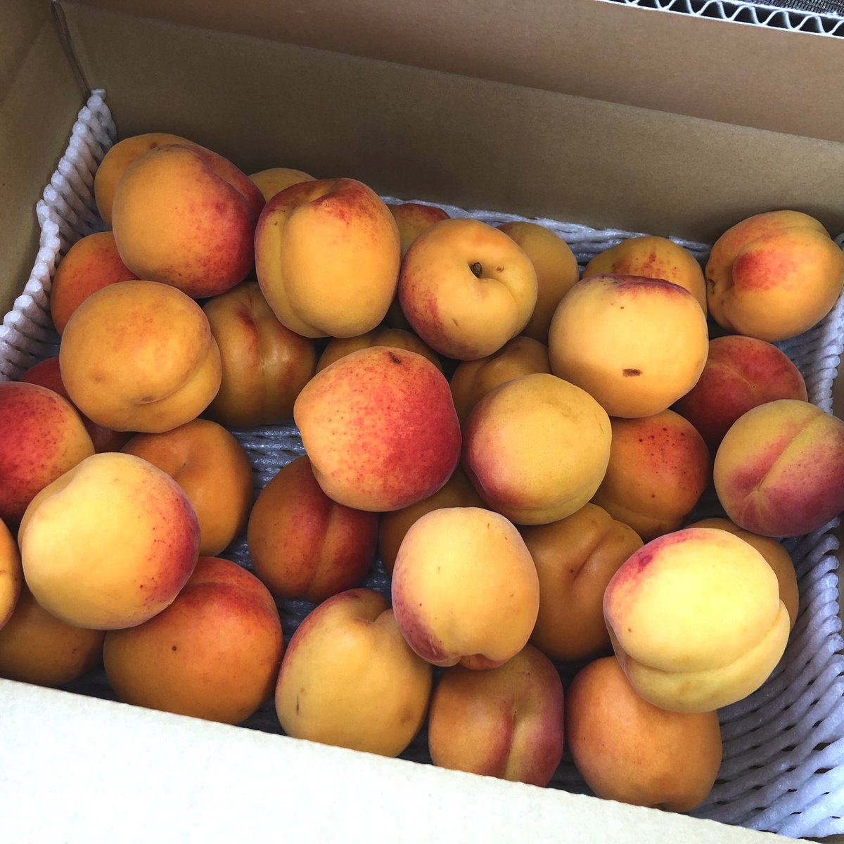 ট ইট র Flexieのジャム 完熟すもものジャム 完熟あんずのジャム 甲州からすもものソルダム 信州から杏が届いています ソルダムは完熟まで少し置いておきますが 杏はすぐに加工します この時期多くの果物の収穫期が重なるので ジャム屋は