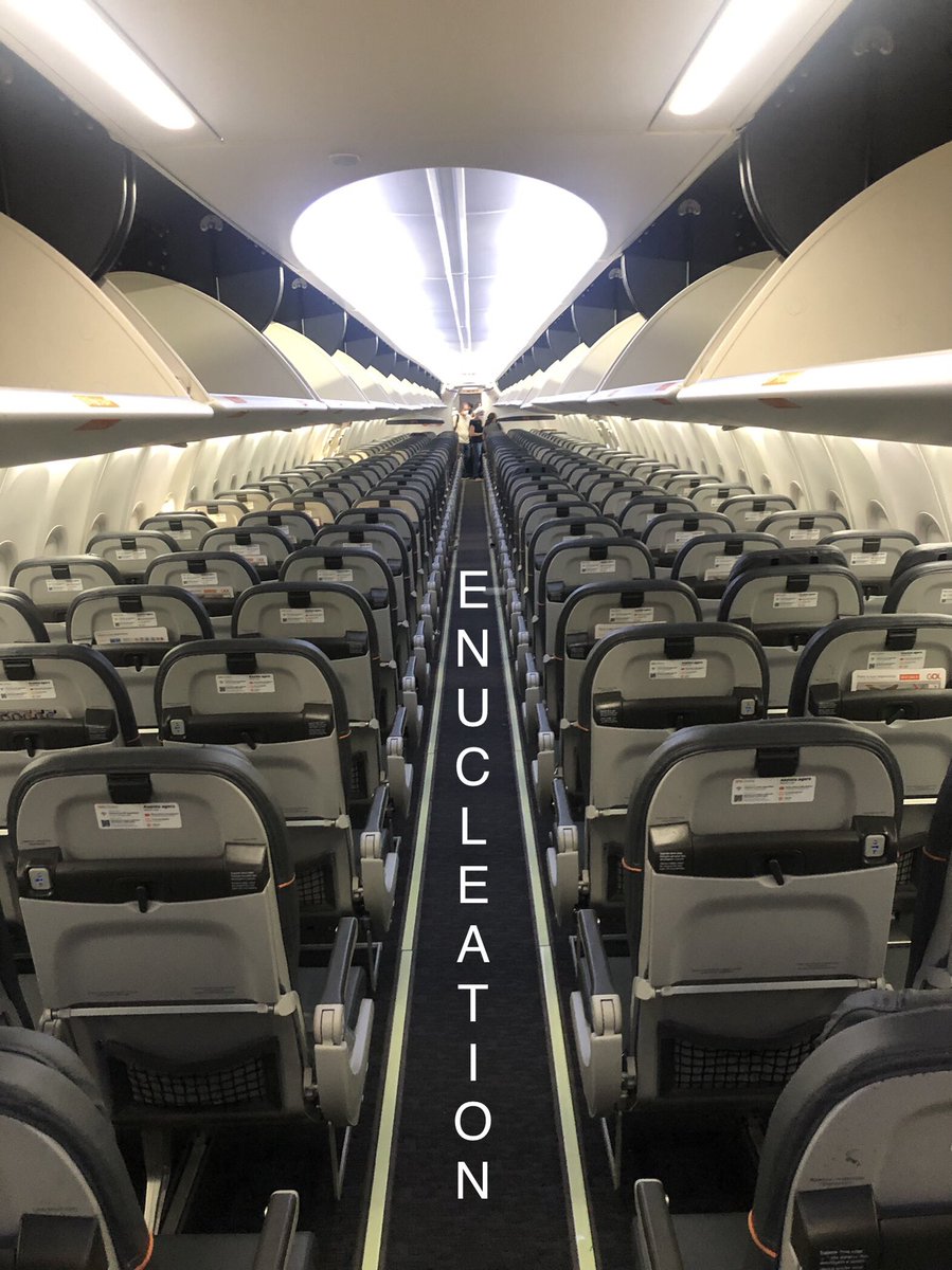 Daniel Moser 🇧🇷 tweet media