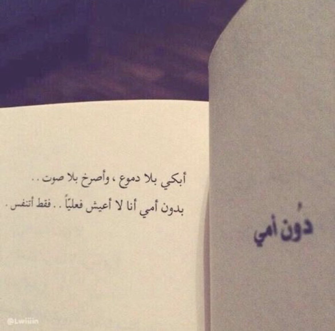 munanistta's tweet photo. #نوره_عبدالعزيز_المطوع https://t.co/0Byw60VOiD