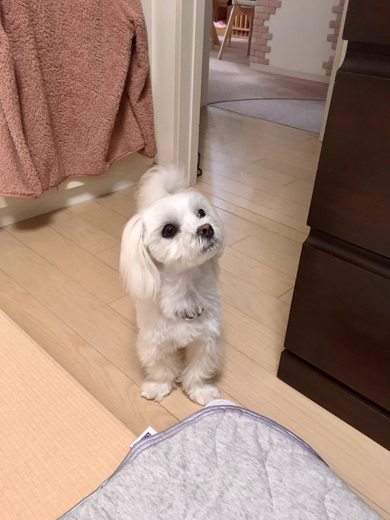 @hidekiccan いや、あの...
ピンポンですよ...？😅 