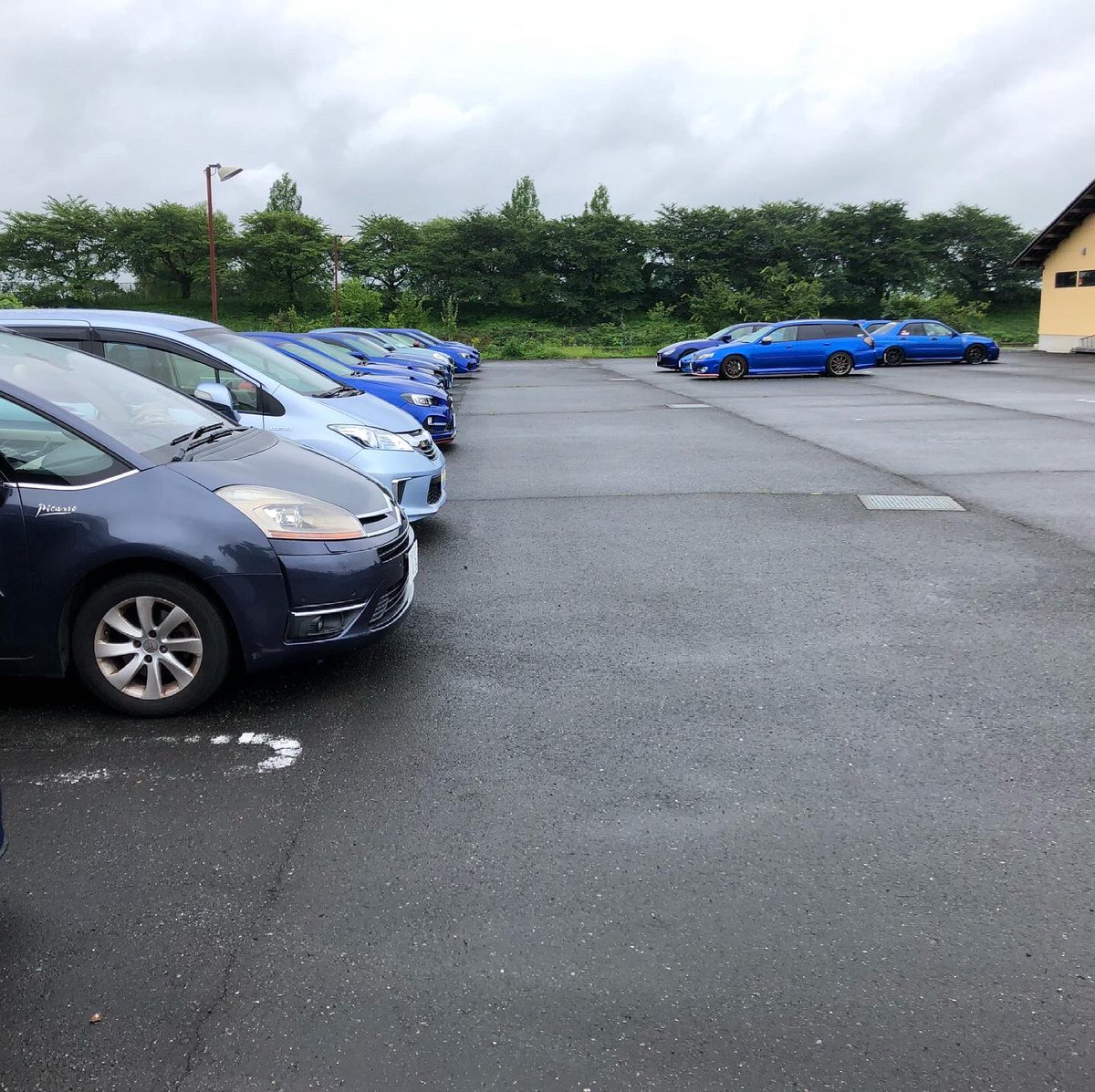 インパクトブルー