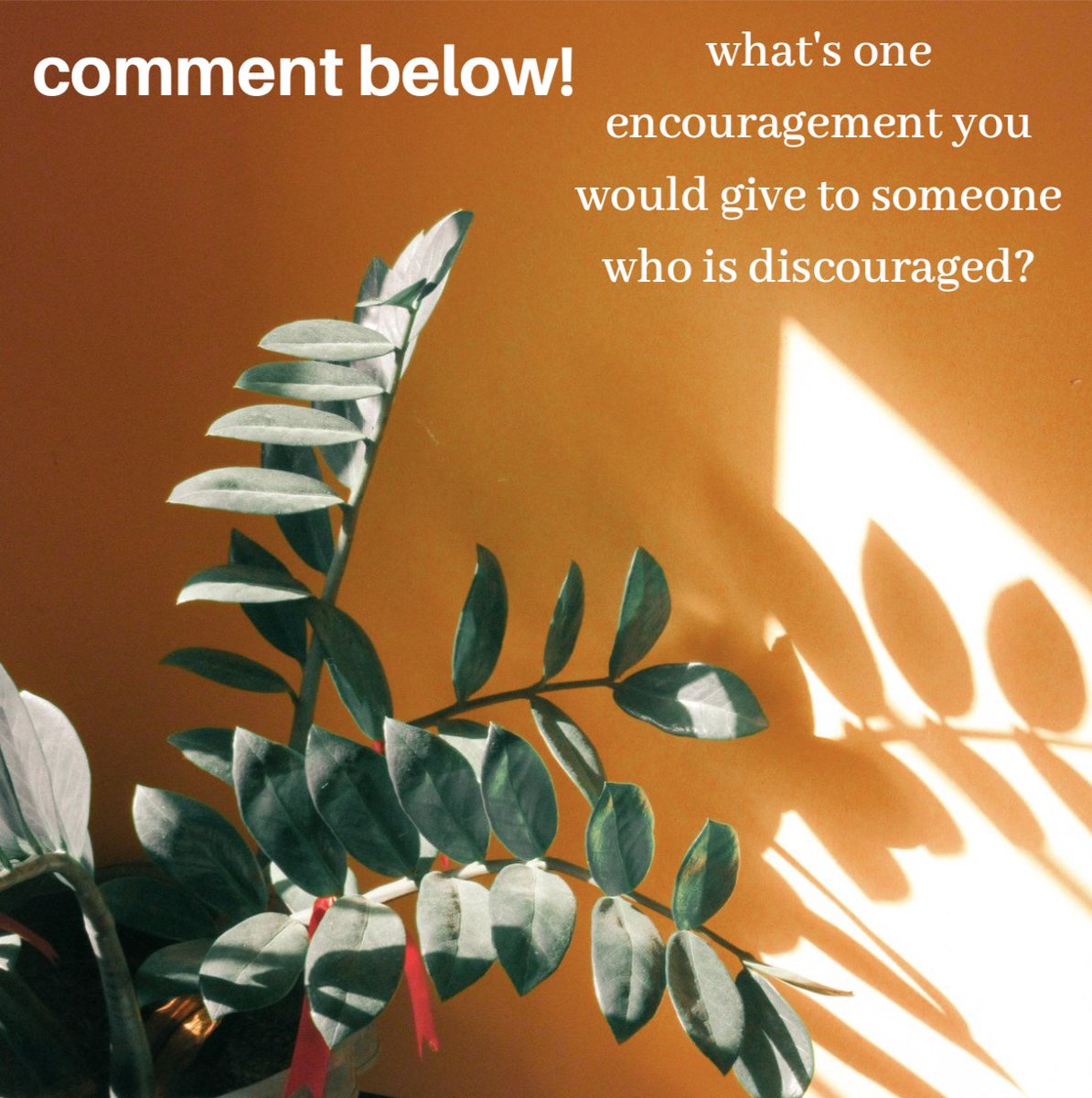 Let's ENCOURAGE one another! Comment below!

#encouragement #team #teammate #twp #teacherswhopray #prayer #teacher #classroom #class #teachers #teach #iamateacher #iloveteaching #teaching