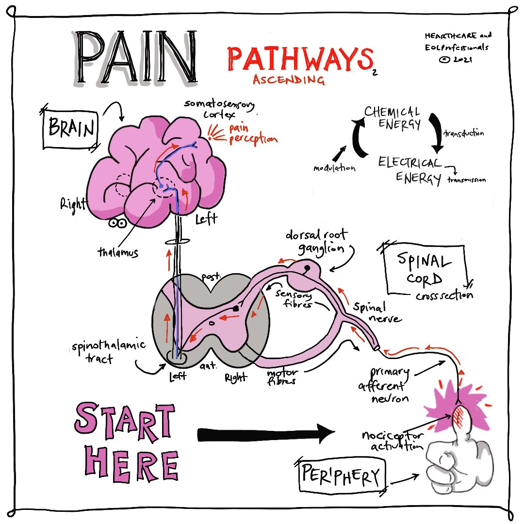 EOL Professionals tweet media