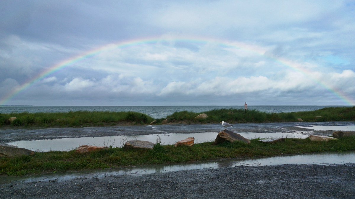 Swam one of my favorite ocean locations today, freely, under a full rainbow. 🌈 #swimfree #righttoswim #buzzardsbay