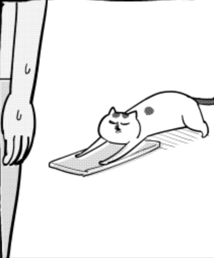 @hidekiccan 猫さま・・・
ひで吉先生と目が合って気まずそうですね💦💦
しかーし！！
猫さま以上にひで吉先生の方は、
「タイミング悪く、見てはいけない物を見てしまったー💦」みたいな感じでより気まずそう💦💦
お互いが気まずい瞬間だ😁 