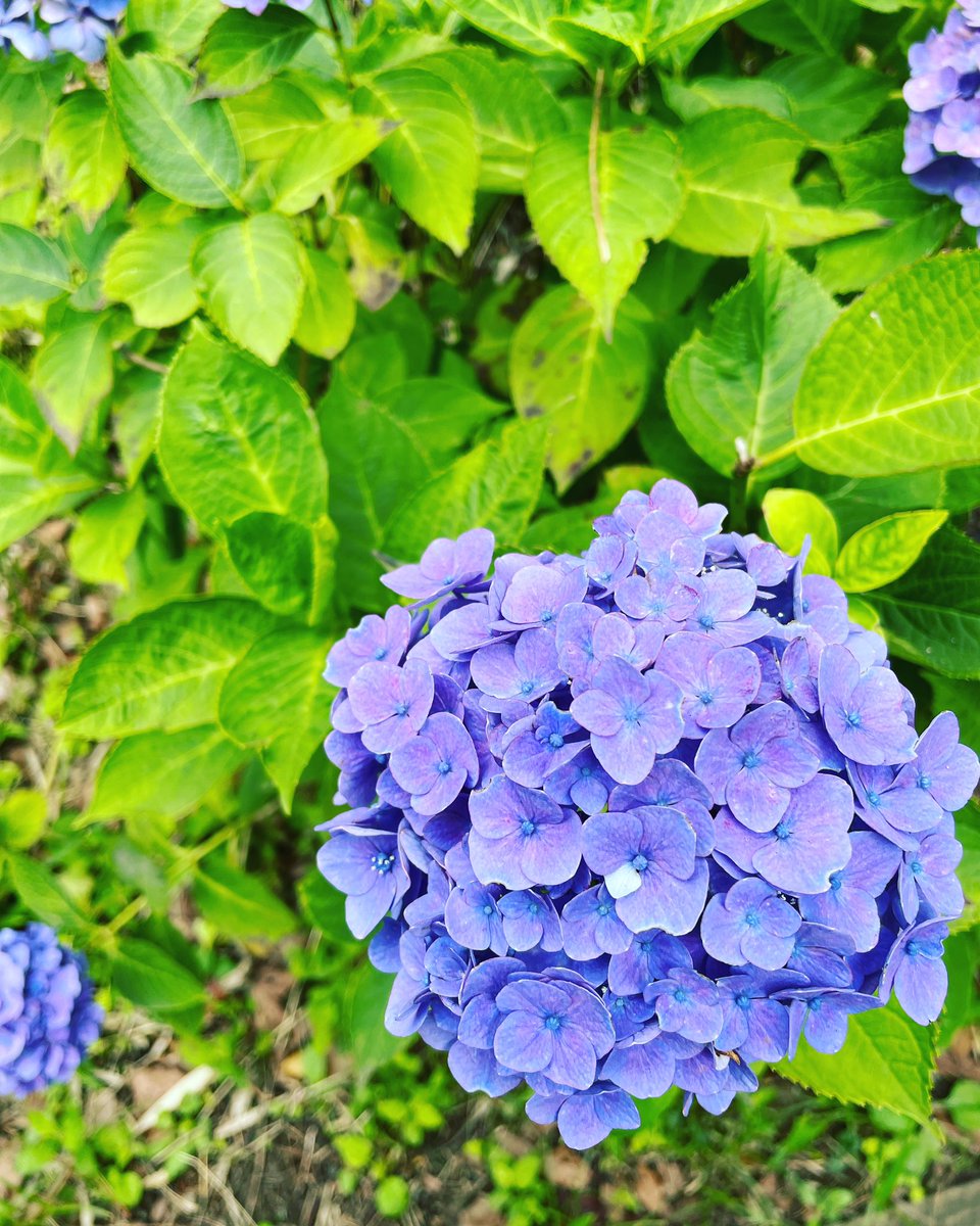 上星川hair Cut T Kh Haircutt Twitter