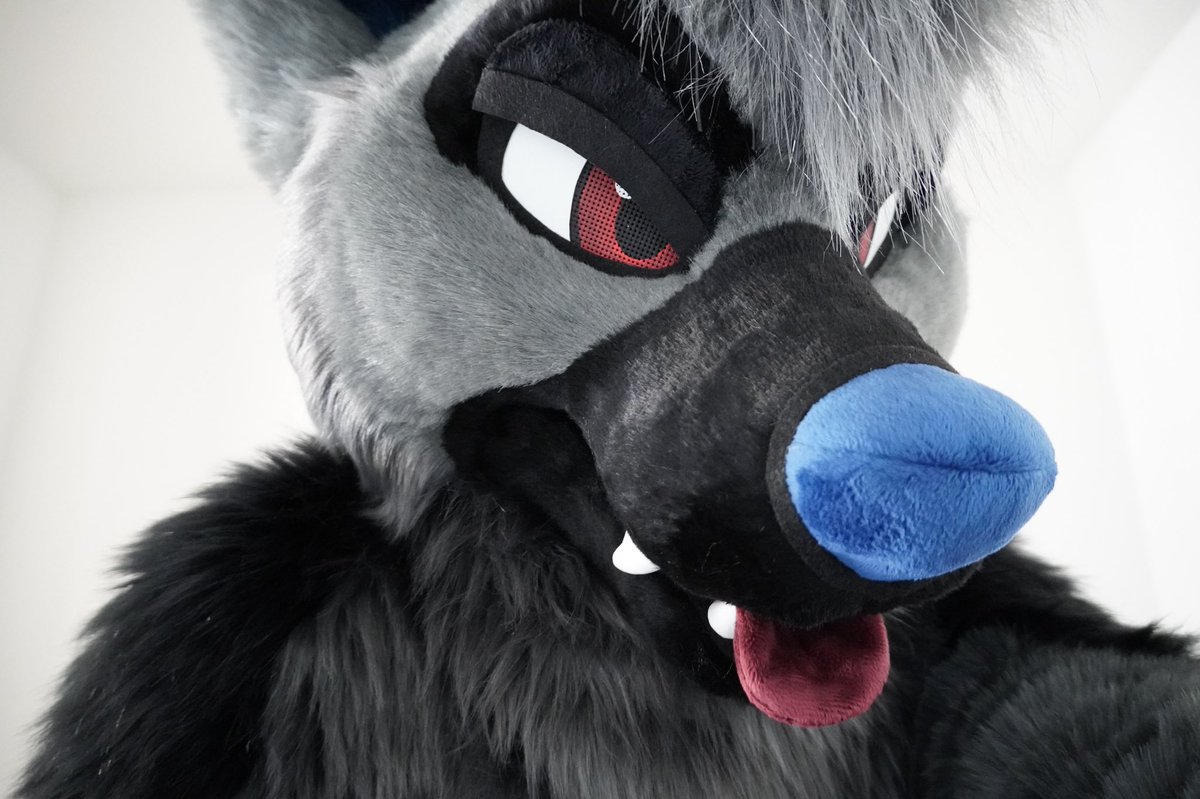 RookaRoo tweet media