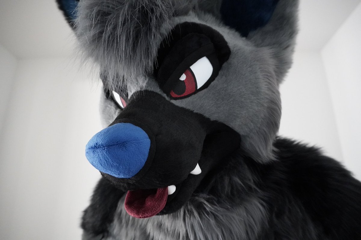 RookaRoo tweet media