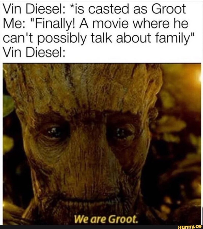 Vin diesel family