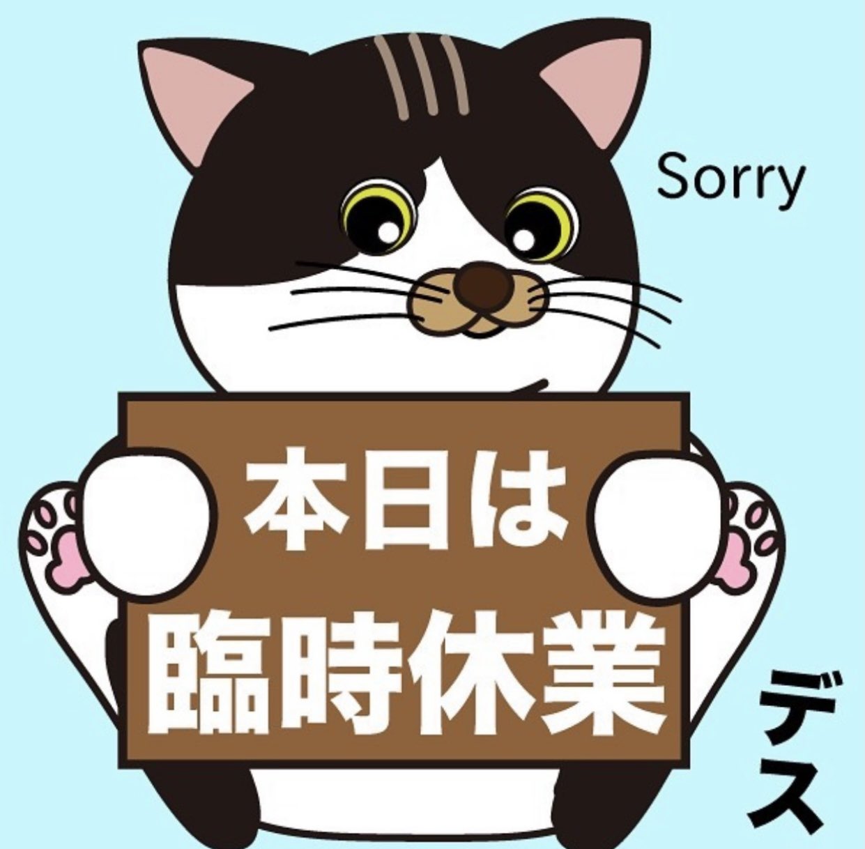 保護猫カフェ 猫婆 本日は 臨時休業させていただきます よろしくお願いいたしますm M 保護猫 保護 猫カフェ 里親募集中 里親募集 三重 猫 家族 保護猫カフェ猫婆 猫婆 三重県 鈴鹿市 スタッフ紹介 Cats Cat Pet Family