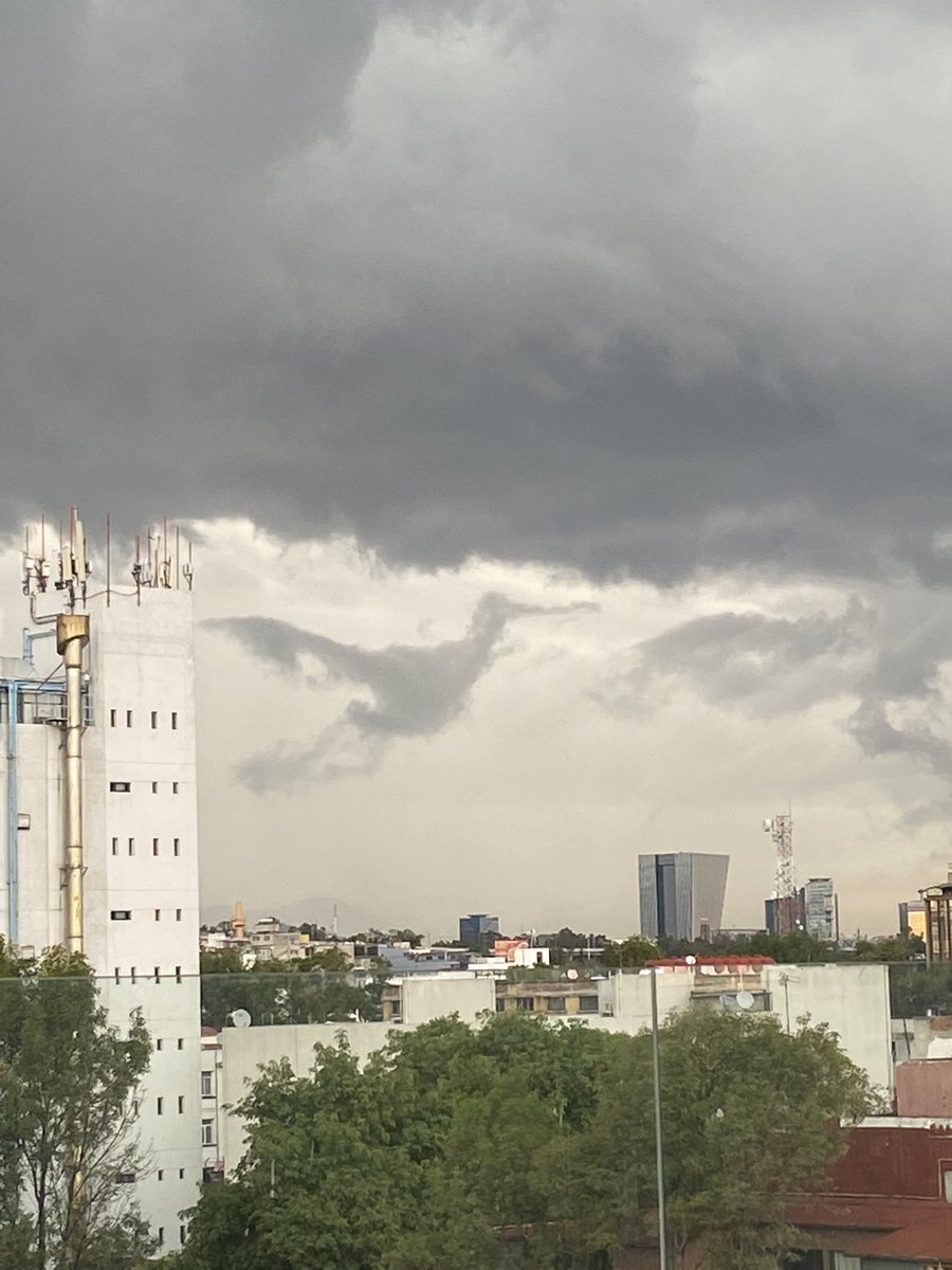 apareció un colibrí sobre la CDMX 🥰