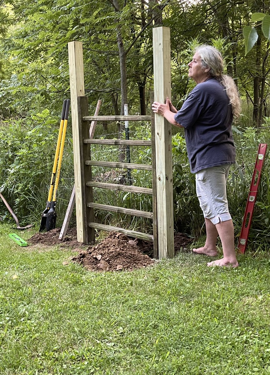 What da heck is my moms up to now?
#yardproject #beagle