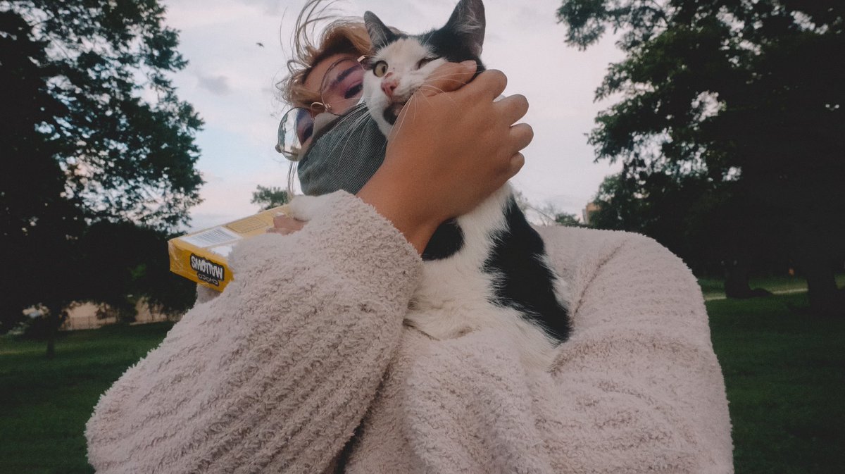 grabbed filipino food to celebrate &amp; 5mins later we find a beat up lil guy meowing at us desperately -

tldr new foster ‼️ his name is 𝙟𝙚𝙚𝙥𝙣𝙚𝙮
⚠️⚠️ check the thread below on how to help us cover costs &amp; keep saving cats!