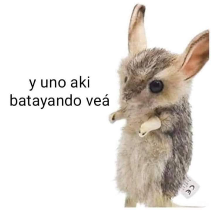 d2a0n0y2's tweet photo. cómo q mi generación no va a tener pensión https://t.co/0wYrLhVnaW