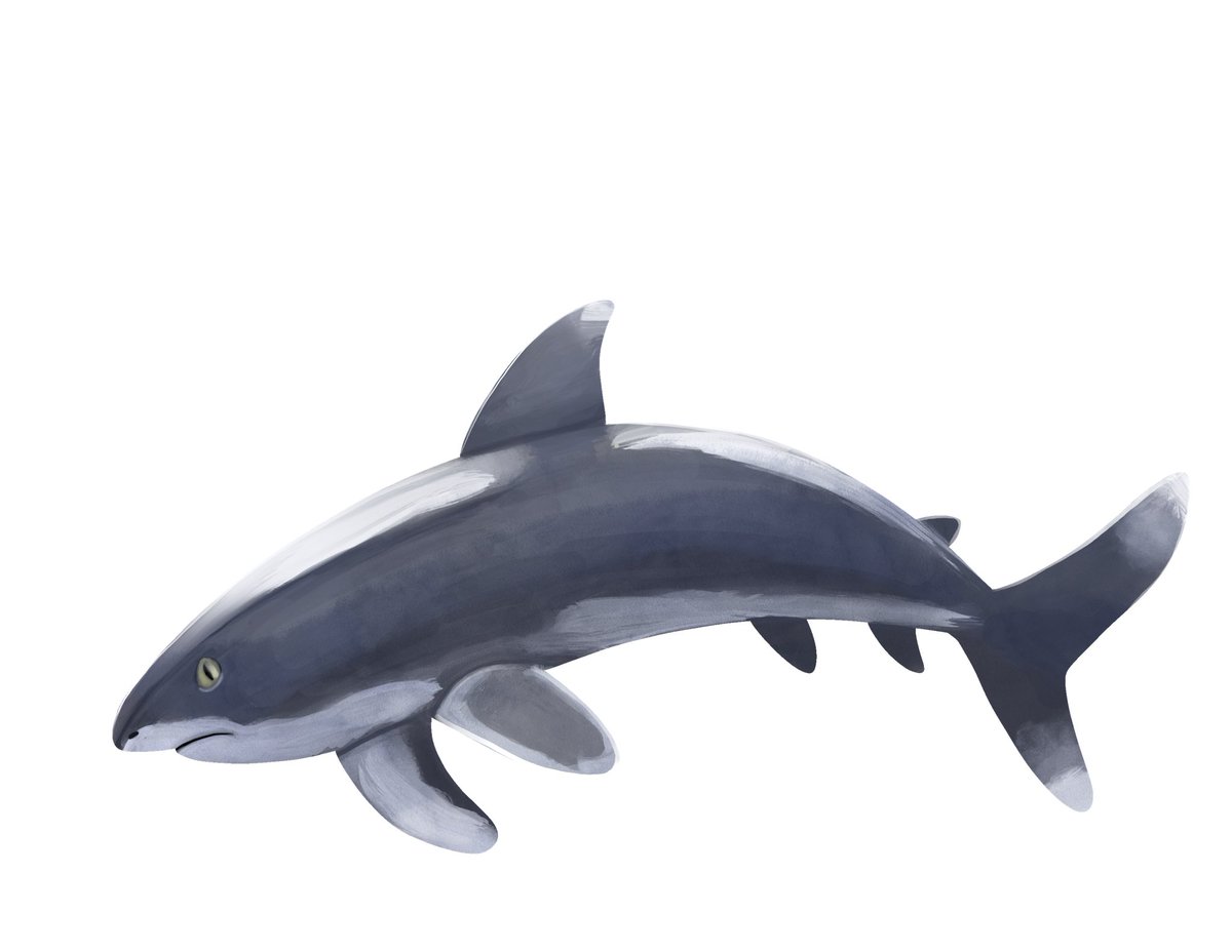 TMosasaur's tweet photo. Tried my hand at painting in procreate. One day I’ll get it! https://t.co/gMYFLTnyfM