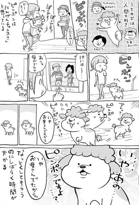 本当は人間に甘えたいお猫様、素直になれない結果…? https://t.co/5VewZqrwOD @grapeejpより 