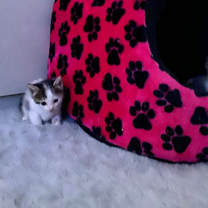 Mi hija toda beb&eacute; 🥰 https://t.co/iVjnt3zns9