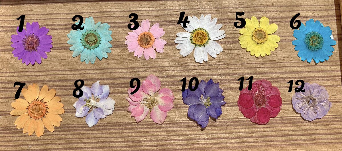 ปิดรับคัสตอมชั่วคราว 𝙍𝙀𝙎𝙄𝙉𝙅𝙋𝙔 彡🛼🌈✦ tweet media