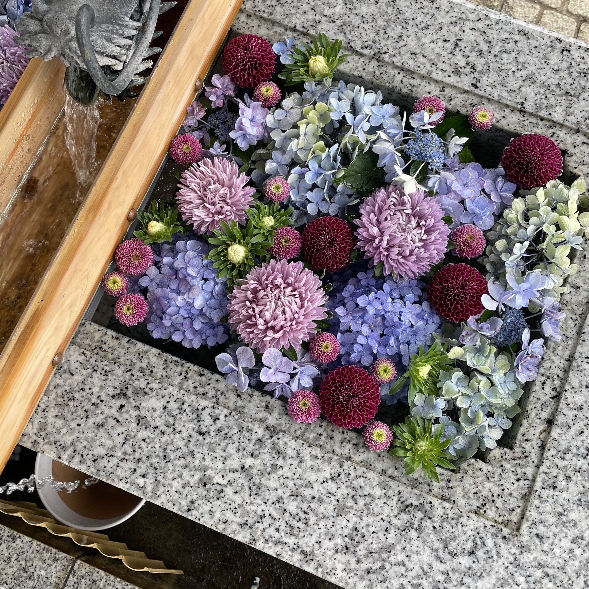 D Ici Peu 今週の花手水 川越八幡宮 T Co Yleraqvr1o Twitter