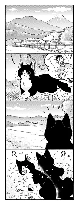 ねこまたと おともだち🐱🍀 