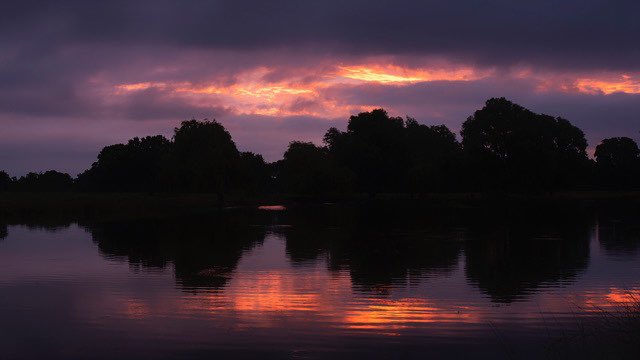 Sunrise such as it was, over in the blink of an eye 04.49 hrs  Worth getting up early for and getting soaked later! #BushyPark @theroyalparks @TeddingtonNub @TWmagazines @SallyWeather @WeatherAisling @ChrisPage90 #BeKindToYourParks @Visit_Richmond1