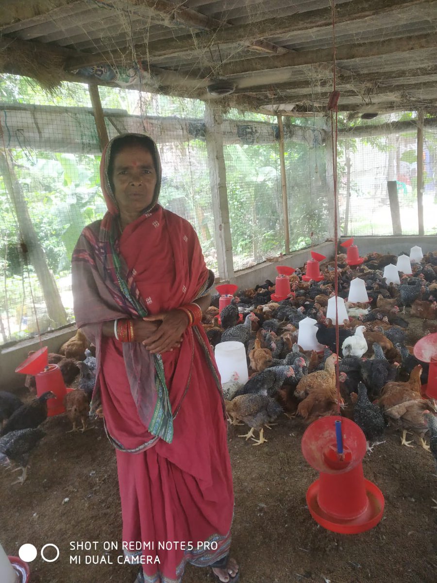 OLM DMMU BHADRAK tweet media