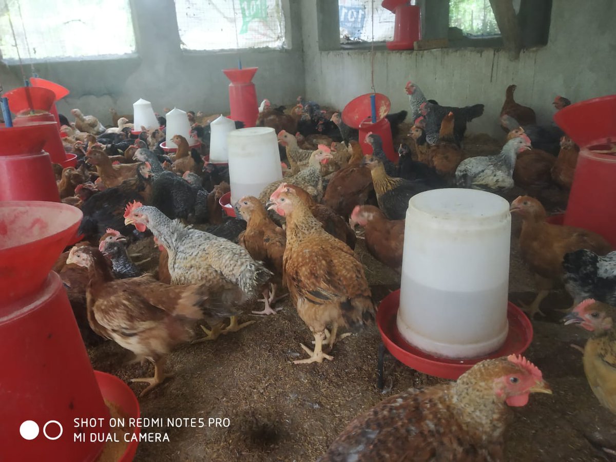 OLM DMMU BHADRAK tweet media