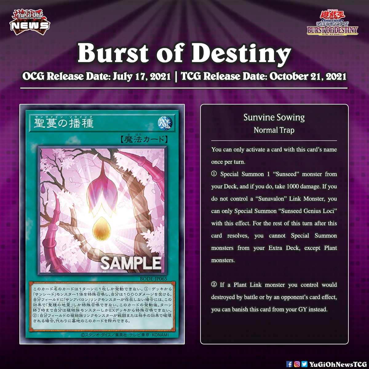 yugioh blue eyes alternative ultimate dragon deck Amazon.com: Yu-Gi-Oh!