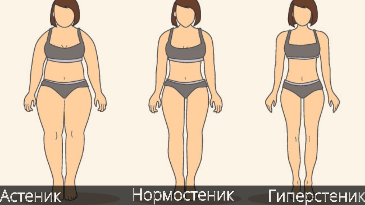L4H on Twitter: "ТИПЫ ТЕЛОСЛОЖЕНИЯ – НОРМОСТЕНИК Чем отличается нормостеник, астеник и гиперстеник. Определение сложения тела по внешним признакам. Как телосложение человека влияет на темперамент, характер и другие психические свойства личности