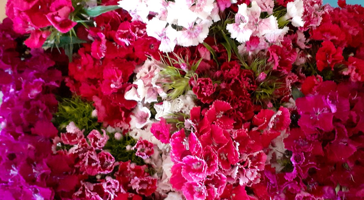 JenCreativJen's tweet image. 